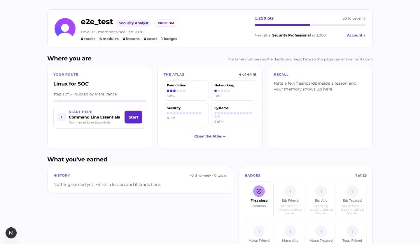 The profile header: level, title, points to the next level, and the next title